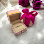 Divine Brilliance Clou D'Oreilles en Moissanite